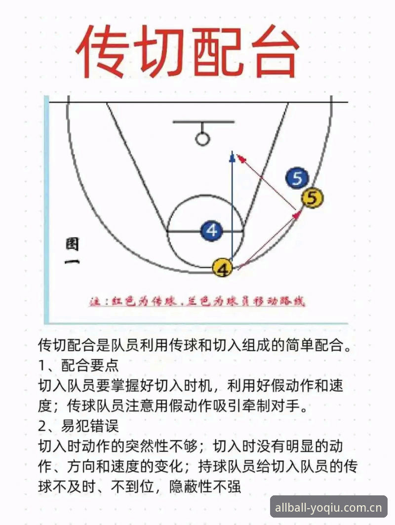 有球使用教程 有球体育平台深度分析:从新手到高手的完整使用教程